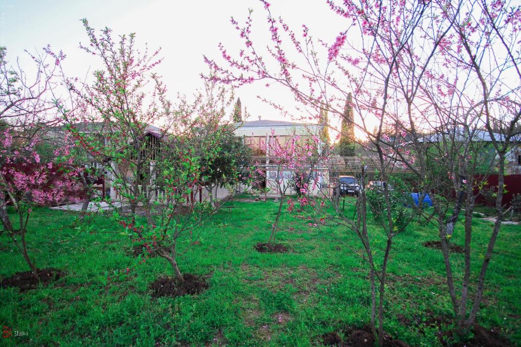 Green Garden Guest House room 5